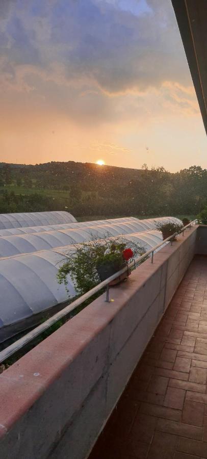 Casa Vacanze Cerreto 3 Miglianico Εξωτερικό φωτογραφία